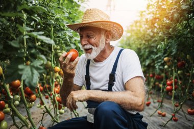 Mutlu ve gülümseyen son sınıf öğrencisi serada çalışıyor..