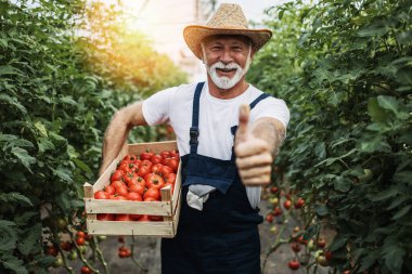 Serada çalışan mutlu ve gülümseyen son sınıf öğrencisi. Poz veriyor ve kameraya bakıyor..