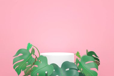 Yeşil Mostera yapraklı beyaz podyum pembe arka planda