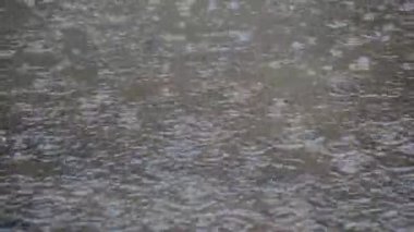 Çamurlu zemine düşen yağmur damlaları doğal çevrede dalgalanmalar ve sıçramalar yaratır. Yağmur çarpması, su hareketi ve ıslak yüzey dokusunu yakalar, hava ve muson görselleri için idealdir..