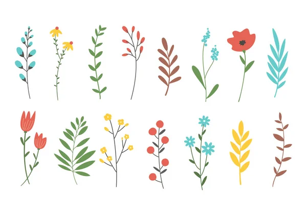 Set Aus Cartoon Blumen Pflanzen Und Zweigen Vektorillustration — Stockvektor