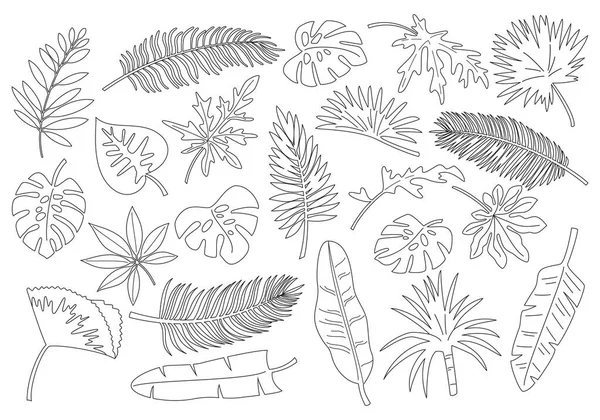Körvonalazott Trópusi Levelek Növények Vektorillusztráció Stock Illusztrációk