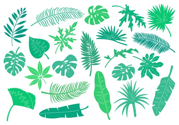Zestaw Tropikalnych Liści Roślin Ilustracja Wektora Wektory Stockowe bez tantiem