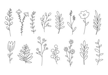 Çizgi film çiçekleri, bitkiler ve dallar. Vektör illüstrasyonu.