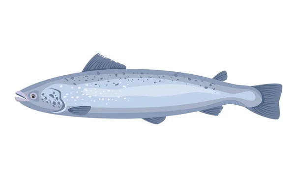 Ikan Salmon Dengan Latar Belakang Putih Makanan Laut Ilustrasi Vektor - Stok Vektor