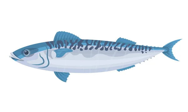 Makrill Fisk Vit Bakgrund Skaldjur Vektorillustration — Stock vektor