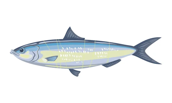 Ikan Haring Dengan Latar Belakang Putih Makanan Laut Ilustrasi Vektor - Stok Vektor