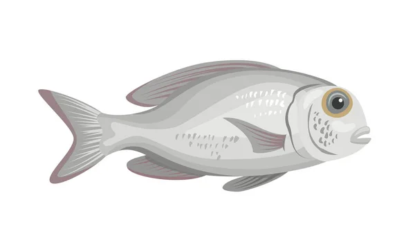 Ikan Laut Dengan Latar Belakang Putih Makanan Laut Ilustrasi Vektor - Stok Vektor