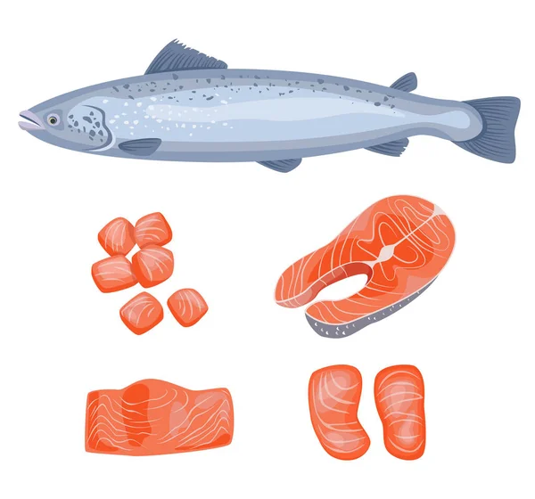Lachsfisch Lachssteak Fischsteak Auf Weißem Hintergrund Meeresfrüchte Vektorillustration — Stockvektor