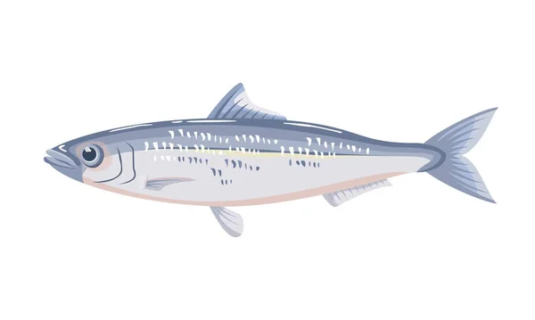 Ikan Sarden Dengan Latar Belakang Putih Makanan Laut Ilustrasi Vektor - Stok Vektor