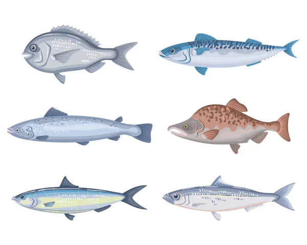 Conjunto Diferentes Peixes Desenhos Animados Fundo Branco Coleta Frutos Mar —  Vetores de Stock