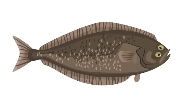 Ikan Halibut Dengan Latar Belakang Putih Makanan Laut Ilustrasi Vektor - Stok Vektor
