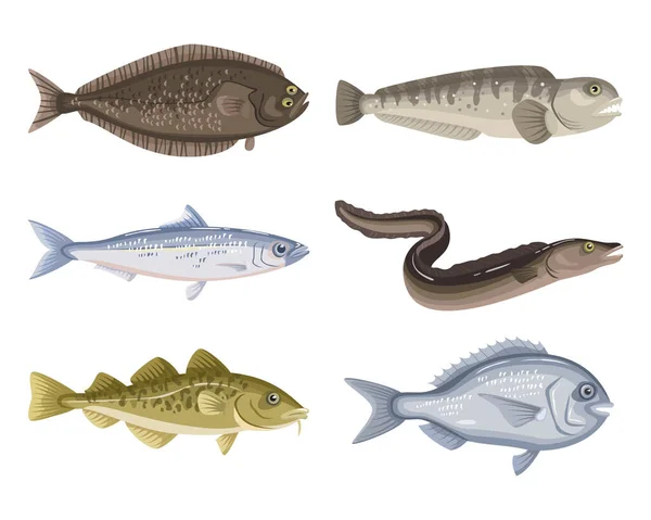 Набір Різних Мультяшних Рибок Білому Тлі Колекція Морепродуктів Векторні Ілюстрації — стоковий вектор