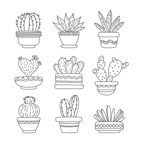 Conjunto Cactus Dibujos Animados Macetas Lindas Ilustración Vectorial Ilustración De Stock