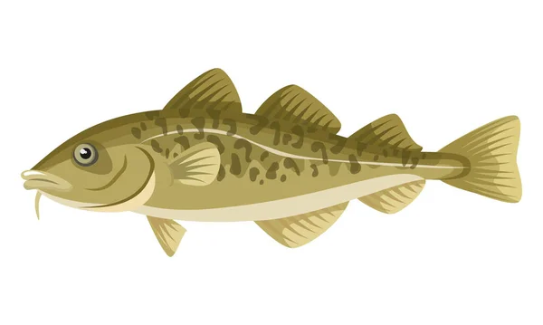 Ikan Kod Pada Latar Belakang Putih Makanan Laut Ilustrasi Vektor Stok Vektor Bebas Royalti