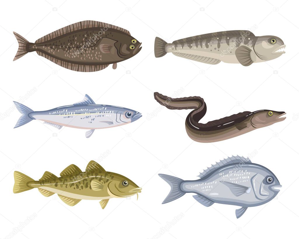 Set of different cartoon fish on white background. Seafood collection. Vector illustration.