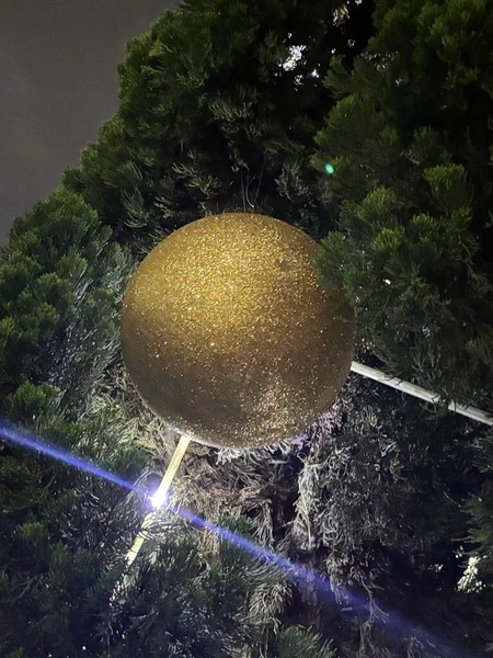 Çarpıcı bir Noel süsü, parlak bir Noel ağacının yemyeşil dalından sarkan simlerle kaplı büyük altın bir küre. Görüntü neşeli bir sevinç ve kutlama hissi uyandırıyor. Parlak ışıklar süsü nazikçe yansıtıyor..