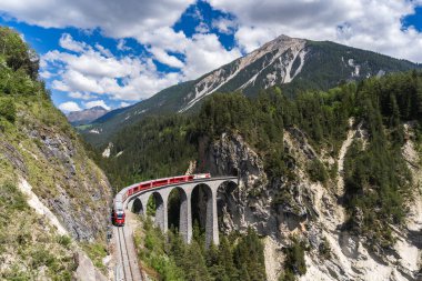Parlak mavi bir çiçek halı yüksek bir çayır, parlak, bulutlu bir gökyüzü altında kar örtülü tepe bir zemin karşı canlı bir ahenk dayanıklılık ve güzellik için bir vasiyet.