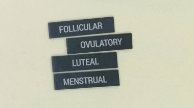 Adet döngüsünün büyüleyici evrelerini araştırın: foliküler, yumurtlama, luteal ve adet. Kadın sağlığını ve biyolojisini anlayın.