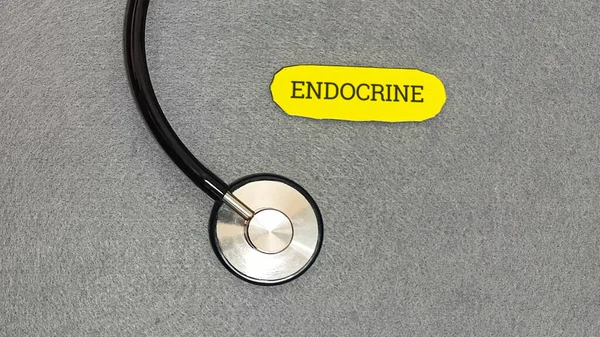 Tıbbi steteskop, üzerinde endokrin yazan sarı etiketin yanında yatar. Bu da hormonal sistem sağlığı ve özel hasta muayenesine adanmış alanı gösterir..