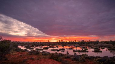 Bulutlu ve bulutlu bir sabahta gün doğumu, Queensland, Avustralya 'daki Bindegolly Ulusal Parkı' nda yarı kurak bir ülkede sağanak yağış sonrasında geçici bir gölet veya billabong içindeki suyu yansıtır..