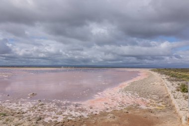 Pembe yansıtan tuzlu su birikintisi, Güney Avustralya 'nın Adelaide kentindeki St. Kilda' da korunan bir sulak alana sızan çevresel bir sorun haline geldi..