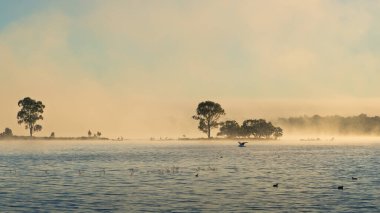 Bir gölün üzerindeki sabah sisi dağılmaya ve daha sonra dağılmaya başlar ve sonuç olarak Queensland, Avustralya 'daki Coolmunda Gölü' nde sis tarafından gizlenmiş kuşlar, ağaçlar ve kıyı şeridi ortaya çıkar..