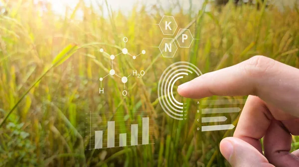 Besin ve Veri Görselleştirmesi ile Pirinç Alanı Üzerinde Akıllı Tarım Arayüzü