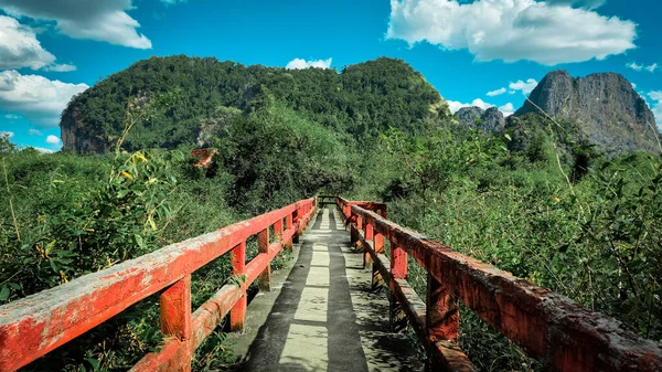 Red-Railed Concrete Pathway Through Tropical Forest Hills,  Tham Pa Fa Buddha Cave Pathway, Thakhek Laos