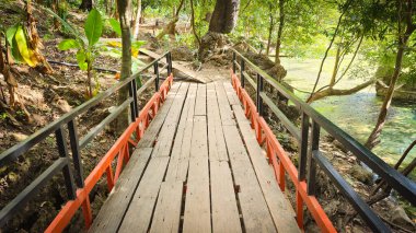 Tham Pa Seuam Mağarası yakınlarındaki ormandaki tahta köprü, Laos