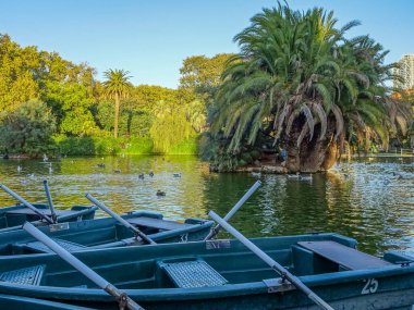 Kayıklar küçük bir adanın yakınına yanaştı. Gölün ortasında uzun palmiye ağaçları vardı. Bir sonbahar öğleden sonrasının sıcak altın güneş ışığını yansıtıyordu..