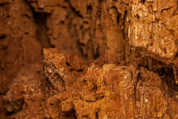 Kaba ağaç kabuğu dokusunun doğal çatlaklar ve desenlerle yakın çekimi. Ayrıntılı ahşap yüzey özgeçmiş, doğa temaları ve organik dokular için ideal.