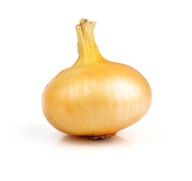 Beyaz arka plan, soğan sebze