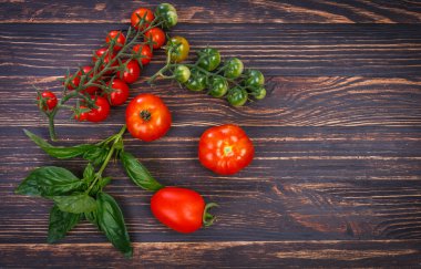 Kırmızı domates yeşil yaprak fesleğen