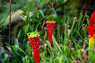 Botanik bahçesindeki gerçek yeşil yapraklarla çevrili, yapı taşlarından yapılmış etobur bitkilere benzeyen renkli heykeller.