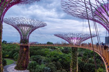 Yeşillik ve bulutlu gökyüzü ile çevrili, onları birbirine bağlayan bir köprüyle bahçedeki fütüristik ağaç benzeri yapılar.