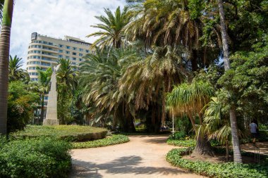 Palmiye ağaçları, patikası ve arka planda yüksek bir binası olan yemyeşil bir park.