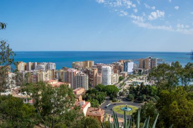 Modern binaları olan panoramik bir kıyı şehri ön planda yemyeşil ve yukarıda açık mavi bir gökyüzü.