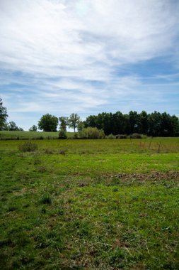 Mavi gökyüzünün altında yeşil çimenler, bulutlar ve arka planda ağaçlar olan geniş bir açık alan.