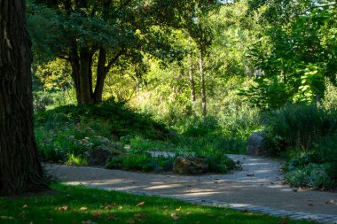 Bereketli yeşillikler ve ağaçlarla çevrili sakin bir bahçe yolu yaprakların arasından süzülen güneş ışığı huzurlu bir atmosfer yaratıyor.