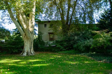 Ön planda büyük bir ağaç, yemyeşil çimenler ve arka planda ağaçlarla kısmen gizlenmiş bir ev içeren huzurlu bir bahçe sahnesi.
