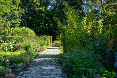 Serin bir bahçe yolu yemyeşil ve renkli çiçeklerle dolu davetkar ve huzurlu bir atmosfer.