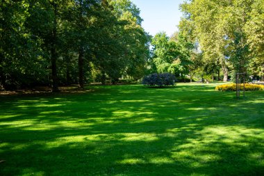 Ağaçlar ve çalılarla çevrili yemyeşil bir park yaprakların arasından süzülen güneş ışığı huzurlu bir atmosfer yaratıyor.