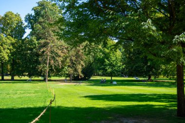 Güneşli bir park sahnesi, yemyeşil çimenler, gölge sağlayan ağaçlar ve arka planda dinlenen insanlar.