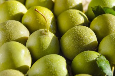 Su damlaları ile sulu yeşil armut