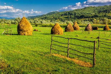 Romanya 'nın kuzeyindeki tipik kırsal alan. Yeşil bir tarla, saman yığınları, dağlar ve mavi gökyüzü..