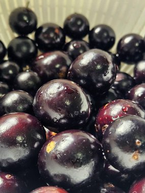 Pek çok olgun jaboticabas, parlak mor derileri tarafsız bir arka plana karşı duruyor. Taze su damlaları, taze ve doğal bir duygu iletir, neşe ve sağlık çağrıştırır..