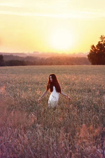 Mulher bonita no campo ao pôr-do-sol . — Fotografia de Stock