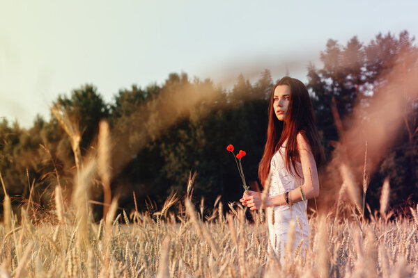 Pretty young woman in field at sunset. Photo toned style