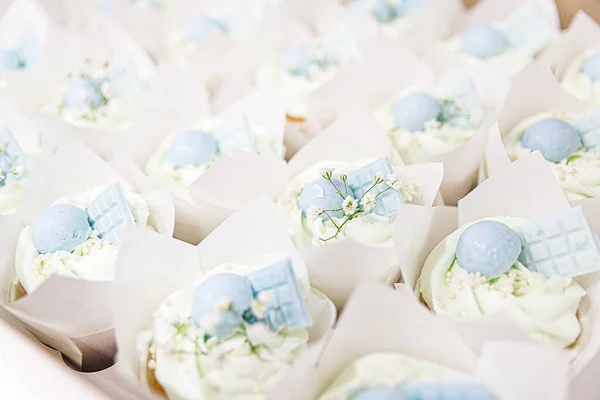 Cupcakes mit Pistaziencreme und Schokolade lizenzfreie Stockfotos